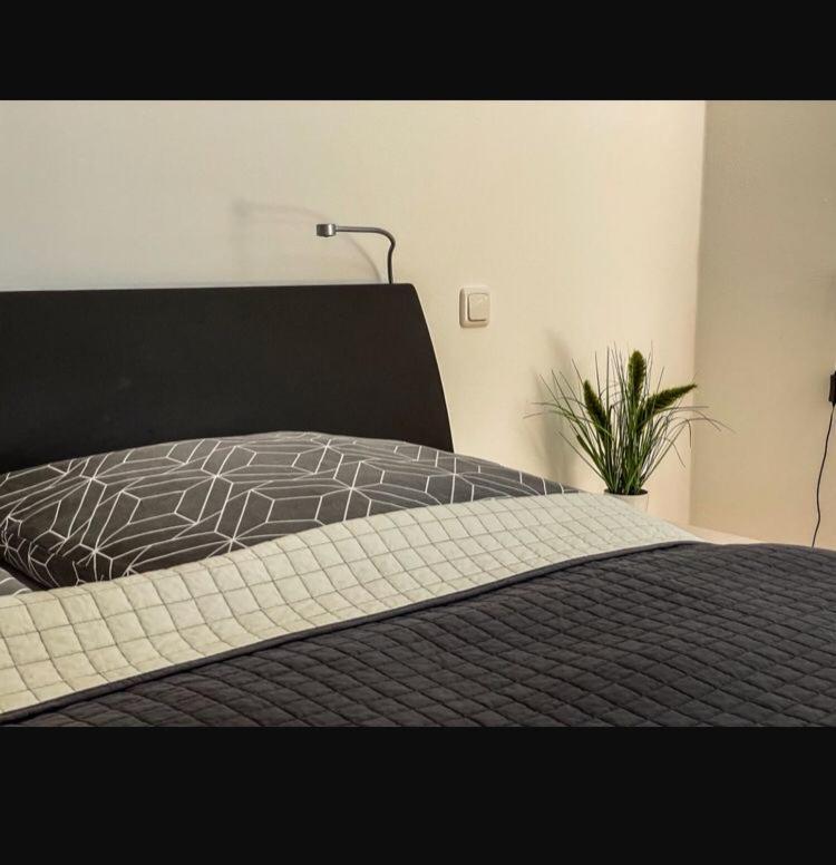 اشتراوبينغ Zimmer - Modernes Apartment Mit 45 Qm. المظهر الخارجي الصورة